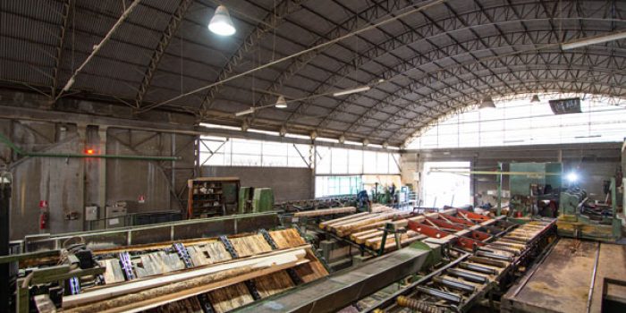 Lavorazione standard del legno in segheria